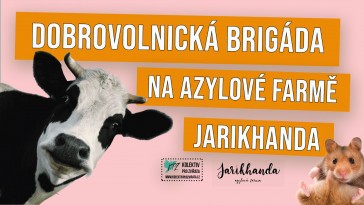 Dobrovolnická brigáda na Azylové farmě Jarikhanda