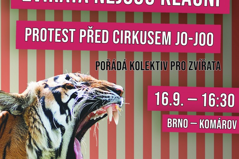Protest u cirkusu Jo-Joo (Brno)