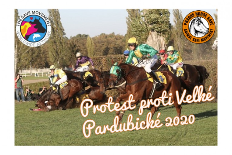 Protest proti Velké Pardubické (Pardubice)