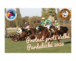 Protest proti Velké Pardubické (Pardubice)