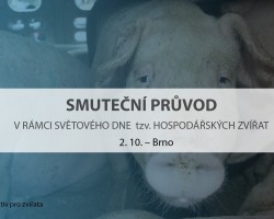Průvod v rámci Světového dne hospodářských zvířat (Brno)