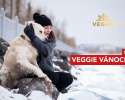 Veggie Vánoce online #1