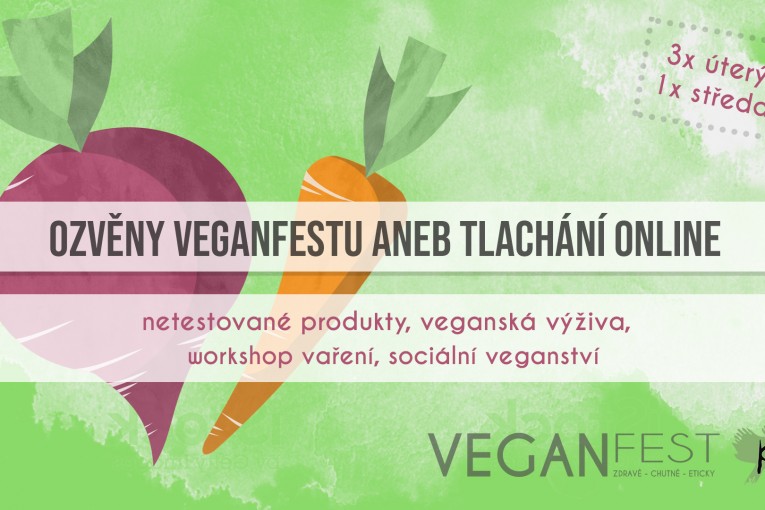 Ozvěny VeganFestu aneb tlachání online - workshop vaření (Brno, Česko)