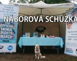 Náborová schůzka spolku Otevři oči (Praha)