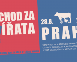 Pochod za zvířata (Praha)