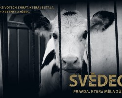 Svědectví: Pravda, která měla zůstat skryta (Blansko)