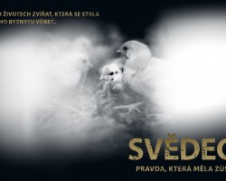 Svědectví: Pravda, která měla zůstat skryta (Brno)