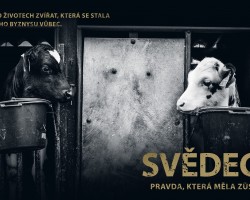 Svědectví: Pravda, která měla zůstat skryta (Brno) - Vyprodáno