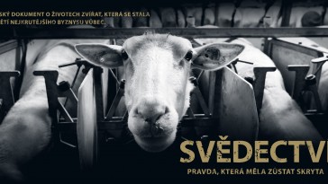 Svědectví: Pravda, která měla zůstat skryta (Frýdek Místek)