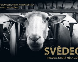 Svědectví: Pravda, která měla zůstat skryta (Frýdek Místek)