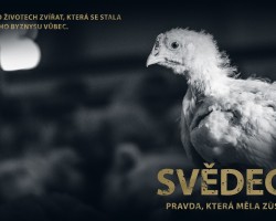 Svědectví: Pravda, která měla zůstat skryta (Uherské Hradiště)