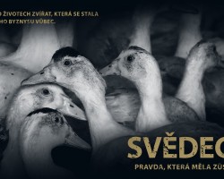 Svědectví: Pravda, která měla zůstat skryta (Liberec)