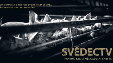 Svědectví: Pravda, která měla zůstat skryta (Ústní nad Labem)