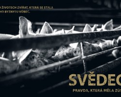 Svědectví: Pravda, která měla zůstat skryta (Ústní nad Labem)