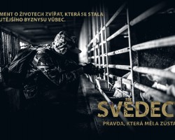 Svědectví: Pravda, která měla zůstat skryta • Světozor (Praha)