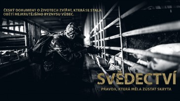 Projekce filmu Svědectví: Pravda, která měla zůstat skryta (Praha)