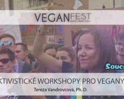 Aktivistické workshopy s Terezou Vandrovcovou (VeganFest Brno)