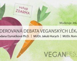 Moderovaná debata veganských lékařů (VeganFest Brno)