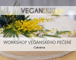 Workshop veganského pečení (VeganFest Brno)