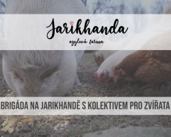 Brigáda na Jarikhandě s Kolektivem pro zvířata (Březůvky)