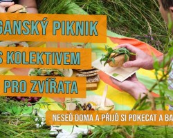 Veganský piknik s Kolektivem pro Zvířata (Brno)