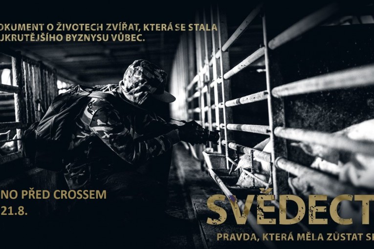 Letní kino před Crossem - Svědectví (Praha)