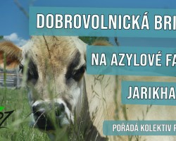 Brigáda na Jarikhandě s Kolektivem pro Zvířata (Březůvky)