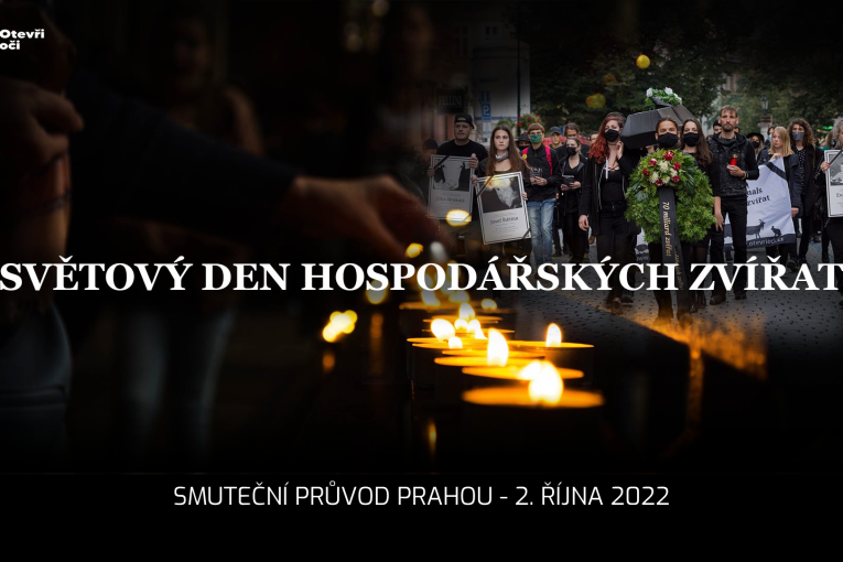 Světový den hospodářských zvířat Praha | World Day for Farmed Animals Prague