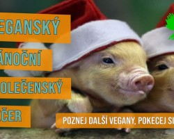 Vánoční společenský večer (Brno)
