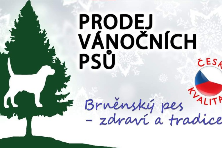 Prodej vánočních psů (Brno)