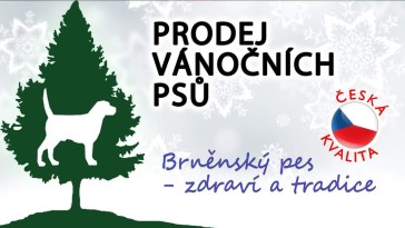 Prodej vánočních psů (Brno)