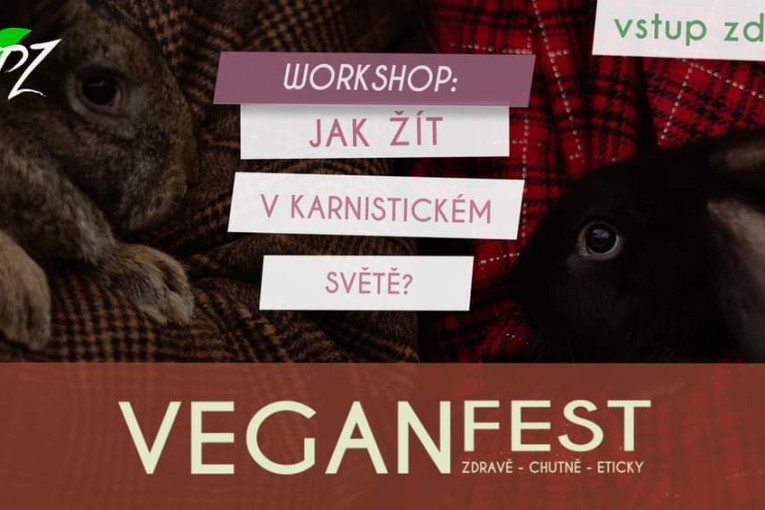 VeganFest Workshop: Jak žít v karnistickém světě? (Brno)