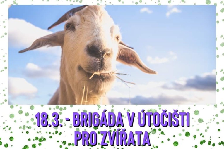 2. dobrovolnická brigáda na statku (Třebihošť)