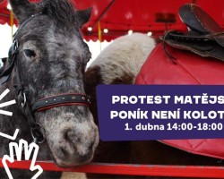 Poník není kolotoč (Praha)