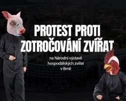 Protest proti zotročování zvířat (Brno)