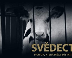 Slovenská premiéra filmu Svědectví: Pravda, která měla zůstat skryta (Bratislava) 