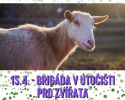 Brigáda na Statku bez krutosti (Třebihošt)