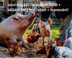Jarní brigáda na azylu PONTO + VEGAN BBQ feat. oheň + Stanování! (Hlohov-Zvěstov)