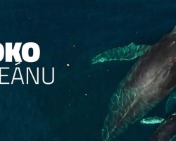 Beseda: Oko oceánu (Brno)