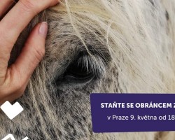 Staňte se obráncem zvířat (Praha)