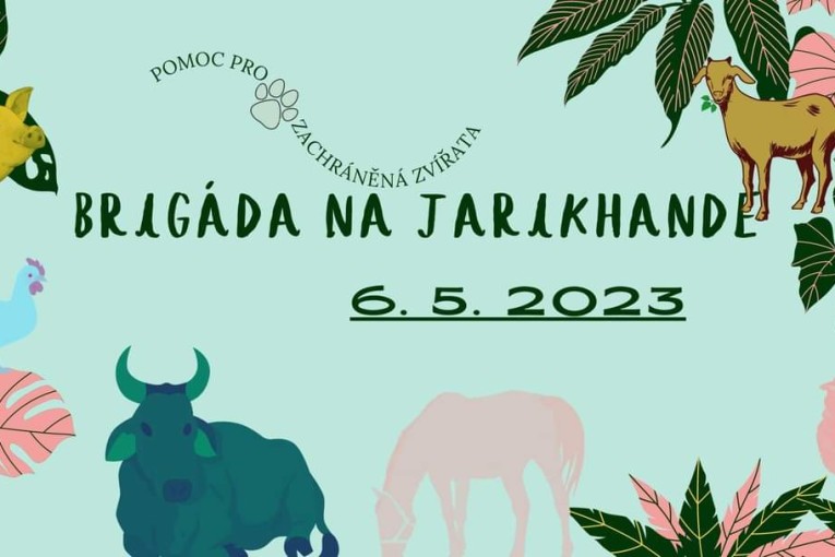 Brigáda na Jarikhandě (Březůvky)