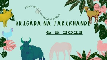 Brigáda na Jarikhandě (Březůvky)