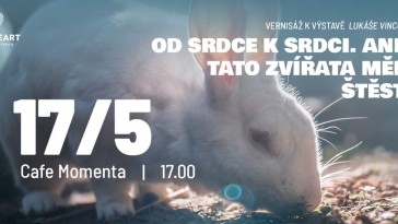 Vernisáž k výstavě Od srdce k srdci (Brno)