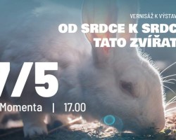 Vernisáž k výstavě Od srdce k srdci (Brno)