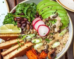 Vegan fest (České Budějovice)