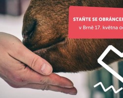 Staňte se obráncem zvířat (Brno)