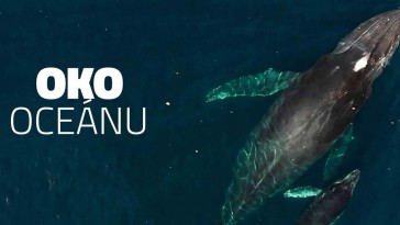 Beseda: Oko oceánu (Česká Lípa)