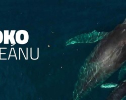 Beseda: Oko oceánu (Liberec)