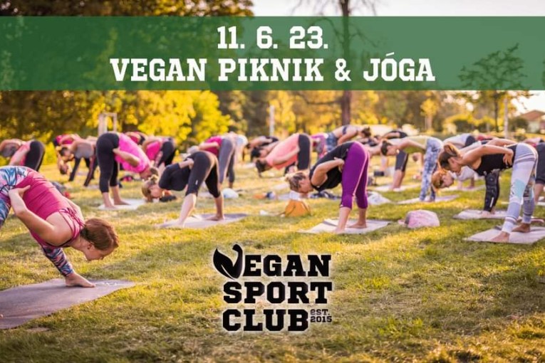 Veganský piknik s jógou (Praha)