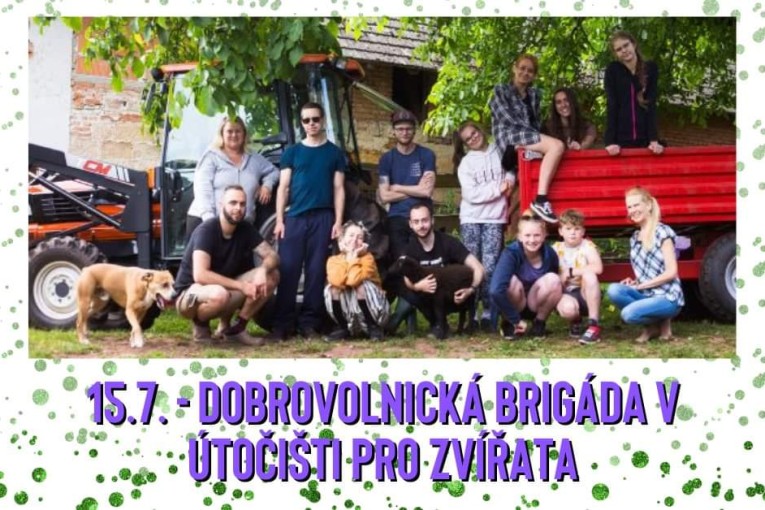 Dobrovolnická brigáda (Třebihošt)